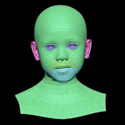 Retopologized 3D Head scan of Emily Wright SubDivision