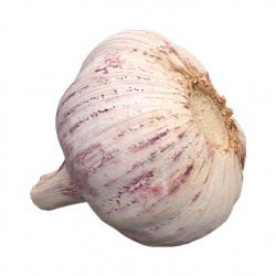 Food_Garlic_3D_Scan