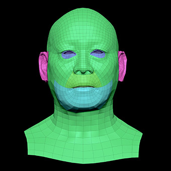 3D Retopologised Heads