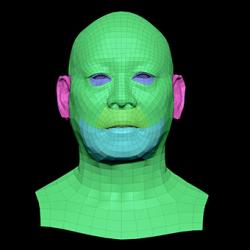 Retopologized 3D Head scan of Iwasaki Mashai SubDivision