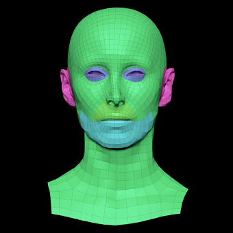 3D Retopologised Heads