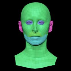 Retopologized 3D Head scan of Marina Tamayo SubDivision
