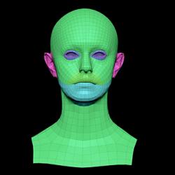Retopologized 3D Head scan of Figgy SubDivision