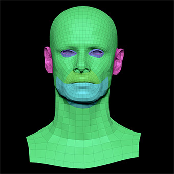 3D Retopologised Heads