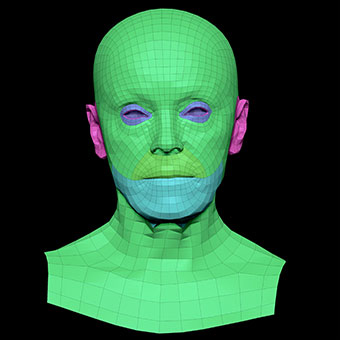 3D Retopologised Heads