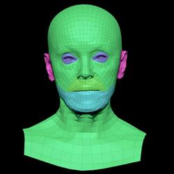 Retopologized 3D Head scan of Sophia Wilson SubDivision