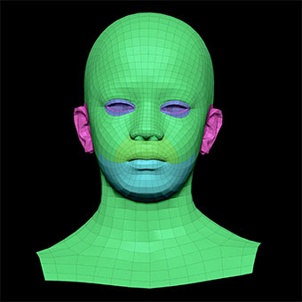 3D Retopologised Heads