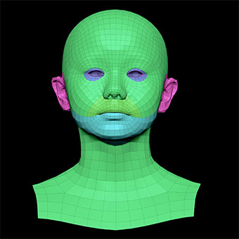 3D Retopologised Heads