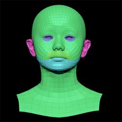 retopologized 3d head scan of kure orime SubDivision