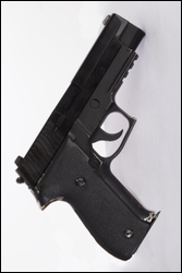  Weapon Pistol SIG P226 