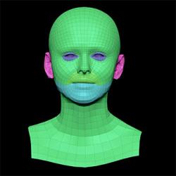 Retopologized 3D Head scan of Lenny SubDivision